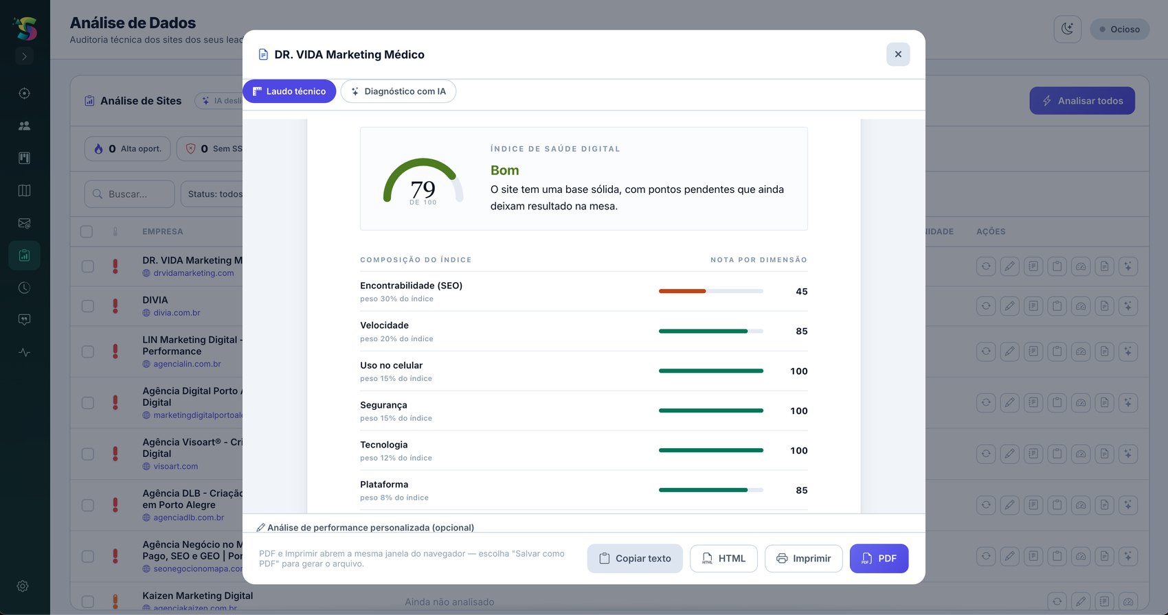 Laudo do site do lead, com índice de saúde digital